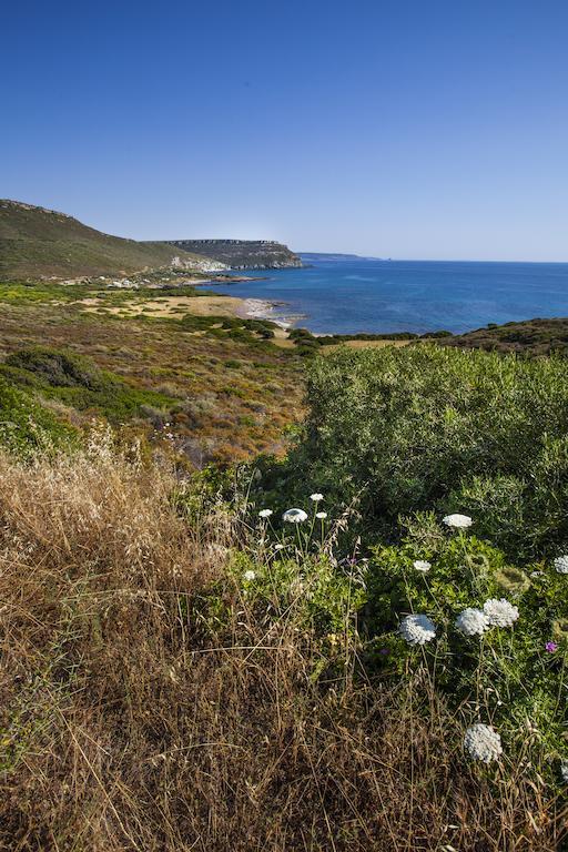 Villa Residenza Solemar Bosa Marina Esterno foto
